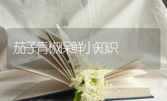 茄子青椒保鲜小知识 | 蔬菜种植