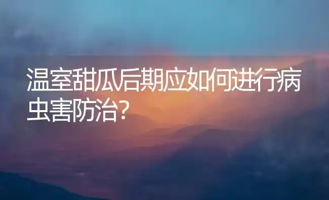 温室甜瓜后期应如何进行病虫害防治？ | 种植病虫害防治