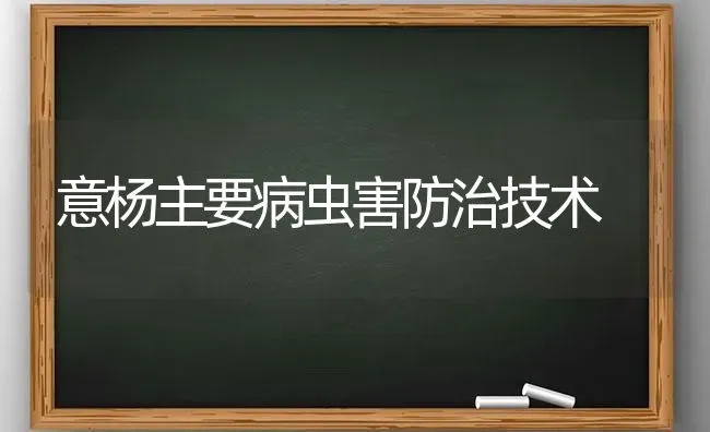 意杨主要病虫害防治技术 | 种植病虫害防治