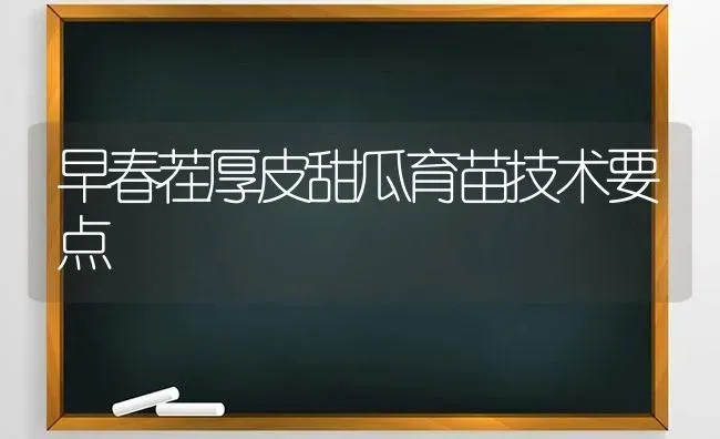 早春茬厚皮甜瓜育苗技术要点 | 瓜果种植