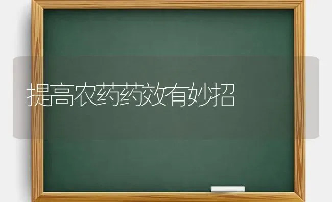 提高农药药效有妙招 | 种植病虫害防治