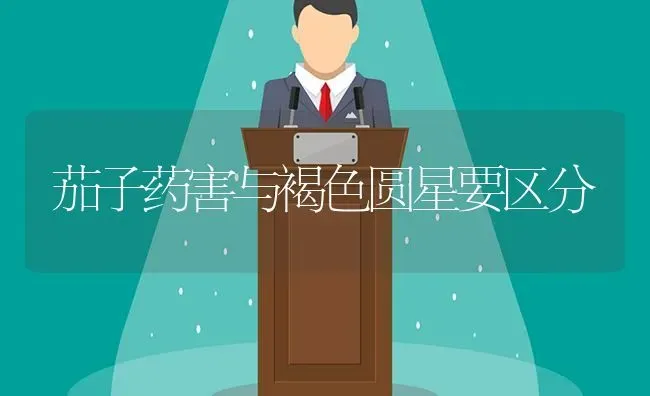 茄子药害与褐色圆星要区分 | 蔬菜种植