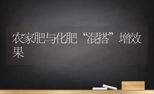 农家肥与化肥“混搭”增效果 | 瓜果种植