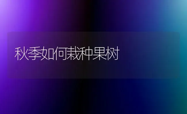 秋季如何栽种果树 | 瓜果种植