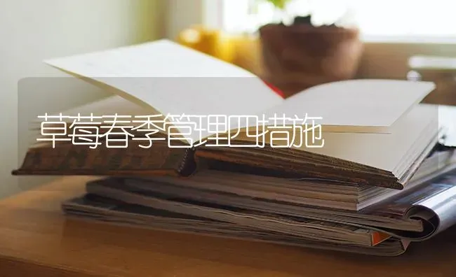 草莓春季管理四措施 | 瓜果种植