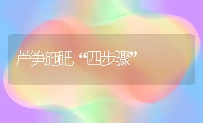 芦笋施肥“四步骤” | 种植肥料施肥