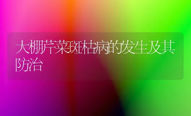 大棚芹菜斑枯病的发生及其防治 | 蔬菜种植
