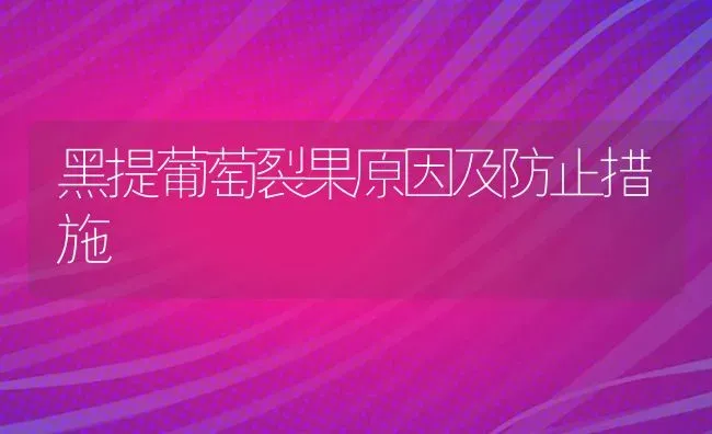 黑提葡萄裂果原因及防止措施 | 瓜果种植