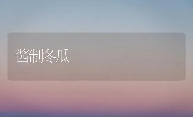 酱制冬瓜 | 蔬菜种植