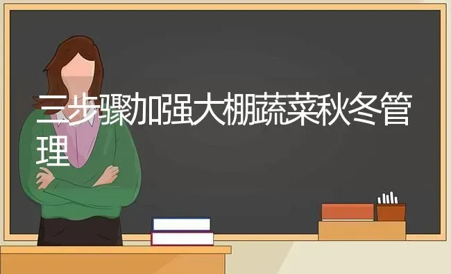 三步骤加强大棚蔬菜秋冬管理 | 蔬菜种植