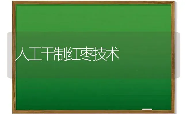 人工干制红枣技术 | 瓜果种植