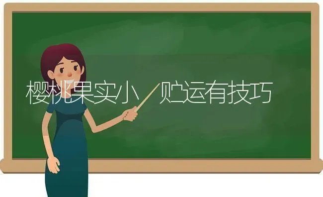 樱桃果实小 贮运有技巧 | 瓜果种植