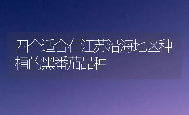 四个适合在江苏沿海地区种植的黑番茄品种 | 植物种植百科