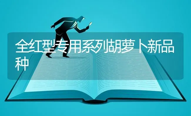 全红型专用系列胡萝卜新品种 | 蔬菜种植