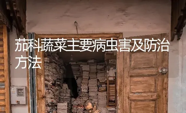 茄科蔬菜主要病虫害及防治方法 | 蔬菜种植