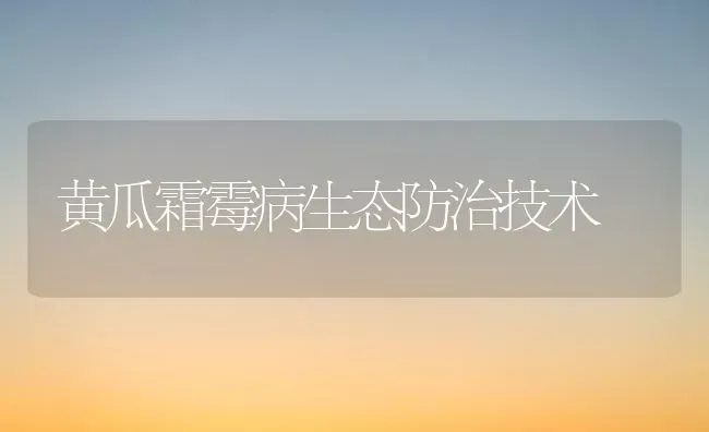 黄瓜霜霉病生态防治技术 | 蔬菜种植
