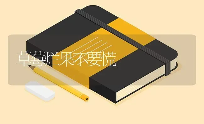 草莓烂果不要慌 | 瓜果种植