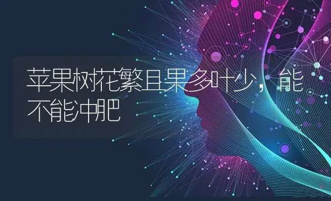 苹果树花繁且果多叶少，能不能冲肥 | 瓜果种植