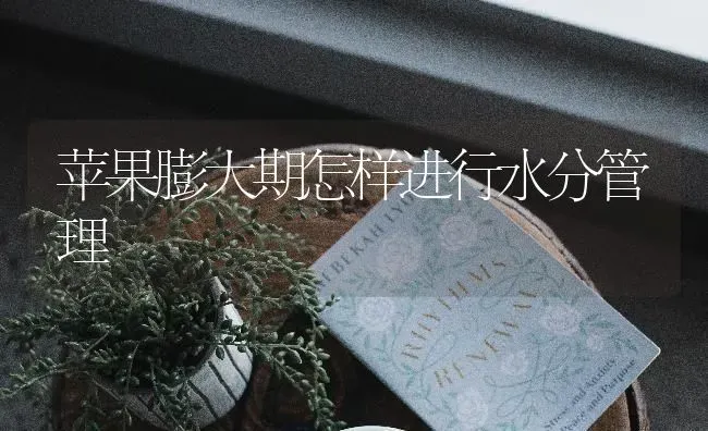 苹果膨大期怎样进行水分管理 | 瓜果种植