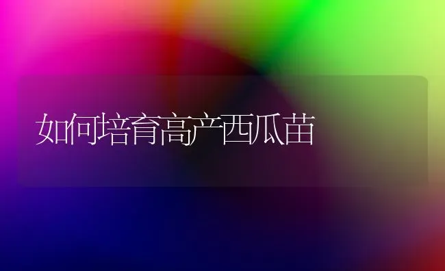如何培育高产西瓜苗 | 瓜果种植