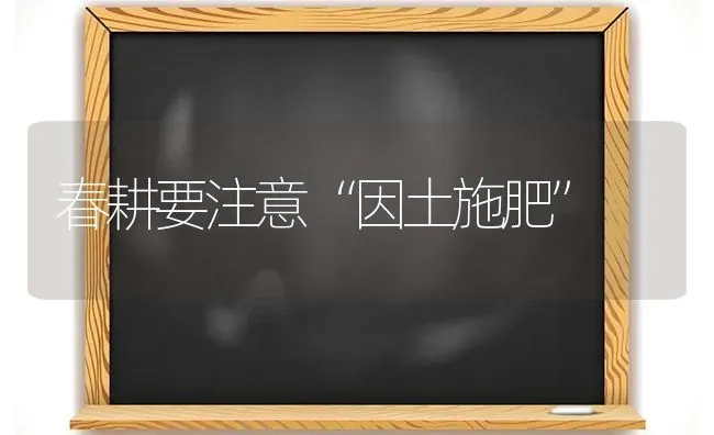 春耕要注意“因土施肥” | 种植肥料施肥