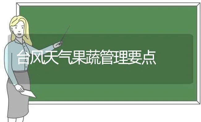 台风天气果蔬管理要点 | 瓜果种植