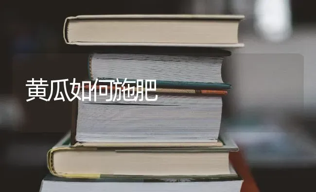 黄瓜如何施肥 | 种植肥料施肥