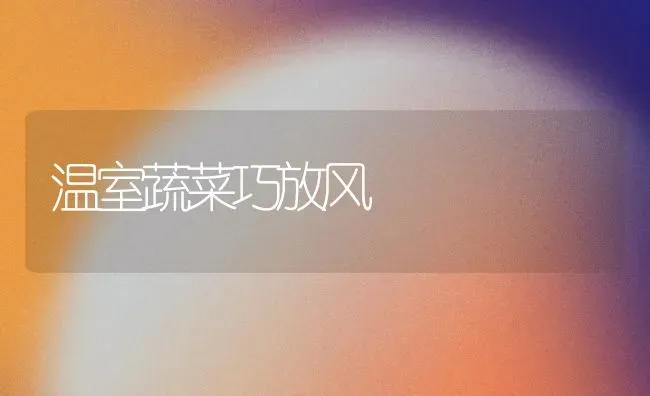 温室蔬菜巧放风 | 蔬菜种植