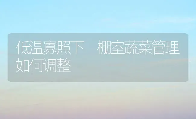 低温寡照下 棚室蔬菜管理如何调整 | 蔬菜种植