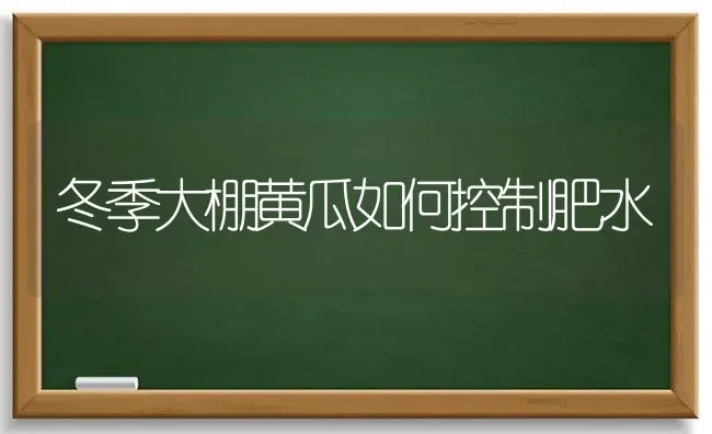 冬季大棚黄瓜如何控制肥水 | 蔬菜种植