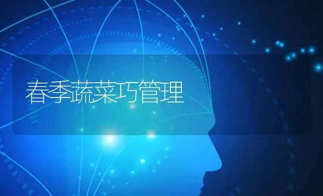 春季蔬菜巧管理 | 蔬菜种植