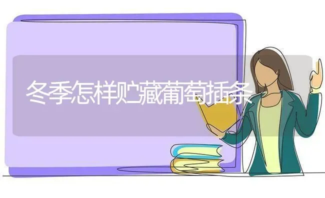 冬季怎样贮藏葡萄插条 | 瓜果种植