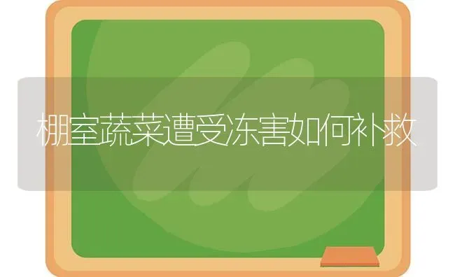 棚室蔬菜遭受冻害如何补救 | 蔬菜种植