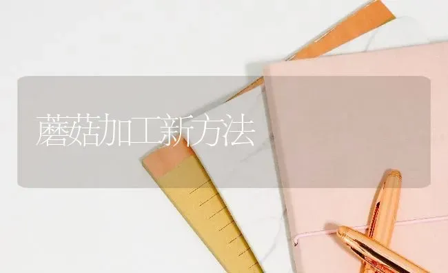 蘑菇加工新方法 | 食用菌种植