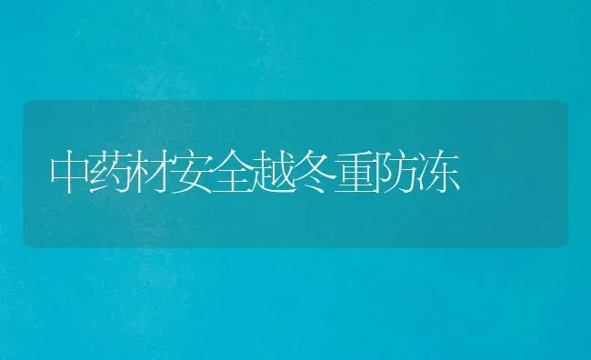 中药材安全越冬重防冻 | 药材种植