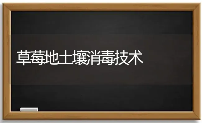 草莓地土壤消毒技术 | 瓜果种植