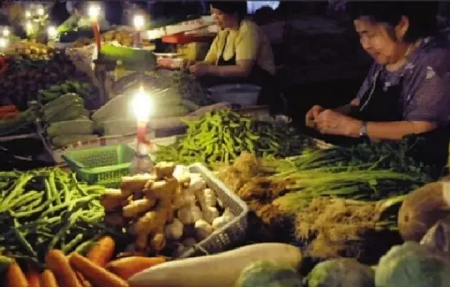 摆放常识|东北部分商铺点蜡烛营业 看看网友什么反应