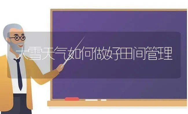 鲜食紫玉米栽培技术 | 粮油作物种植