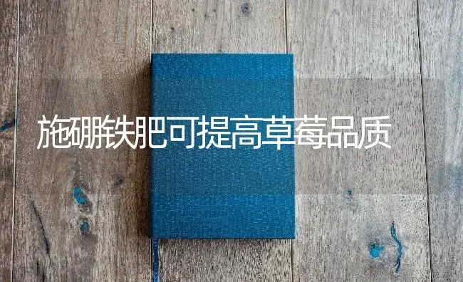 施硼铁肥可提高草莓品质 | 瓜果种植
