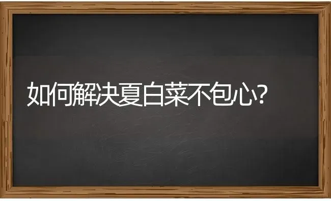 如何解决夏白菜不包心？ | 蔬菜种植