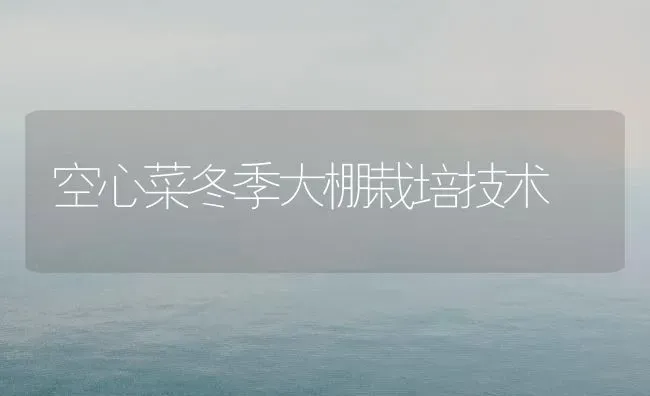 空心菜冬季大棚栽培技术 | 蔬菜种植