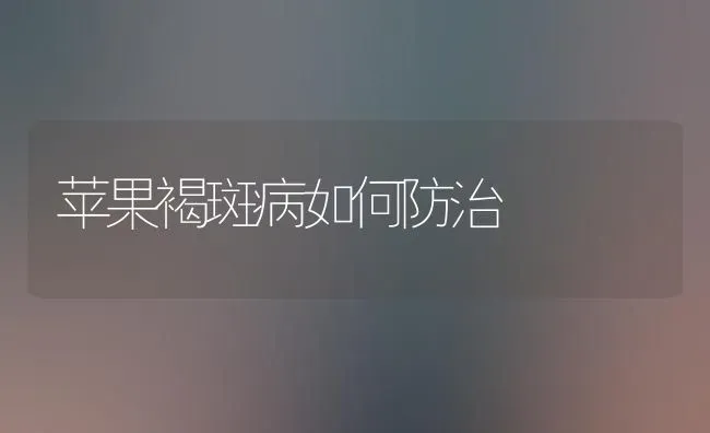 苹果褐斑病如何防治 | 瓜果种植