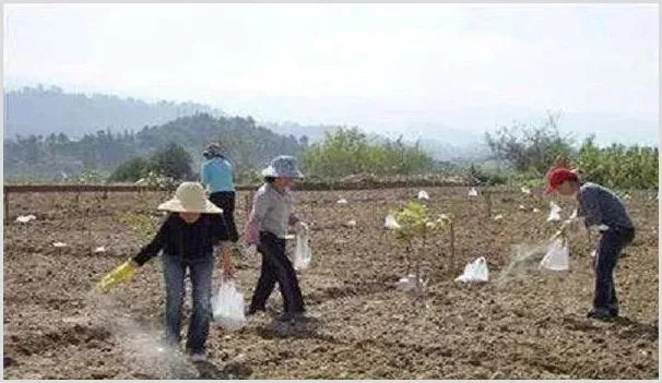 肥料溶解慢的原因有哪些?溶解度是什么 | 种植病虫害