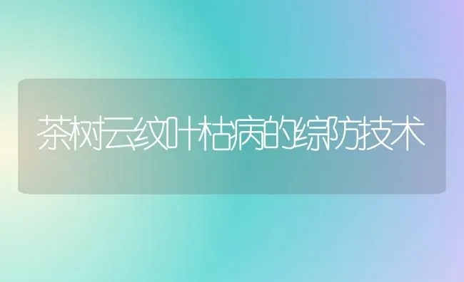 核桃树冬剪注意三个时间段 | 瓜果种植