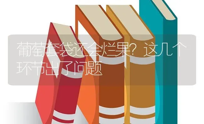 葡萄套袋还会烂果？这几个环节出了问题 | 瓜果种植