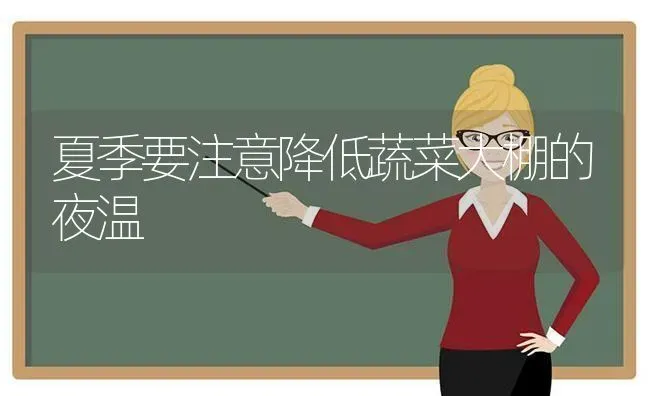 夏季要注意降低蔬菜大棚的夜温 | 蔬菜种植