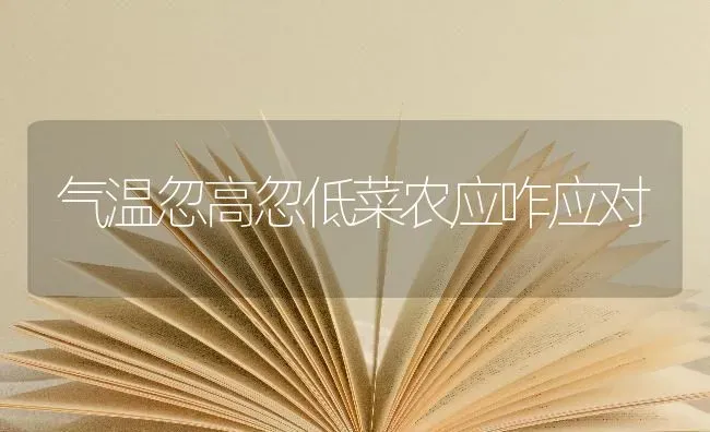 气温忽高忽低菜农应咋应对 | 蔬菜种植