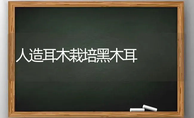 人造耳木栽培黑木耳 | 食用菌种植