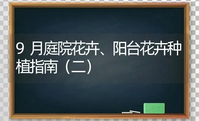 9月庭院花卉、阳台花卉种植指南（二） | 植物种植百科