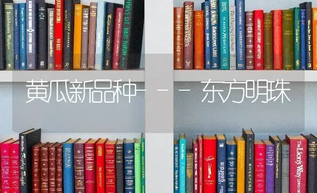 黄瓜新品种---东方明珠 | 蔬菜种植